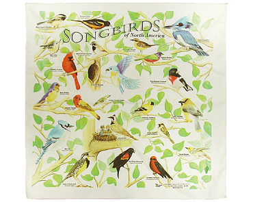 Song Birds | THE PRINTED IMAGE